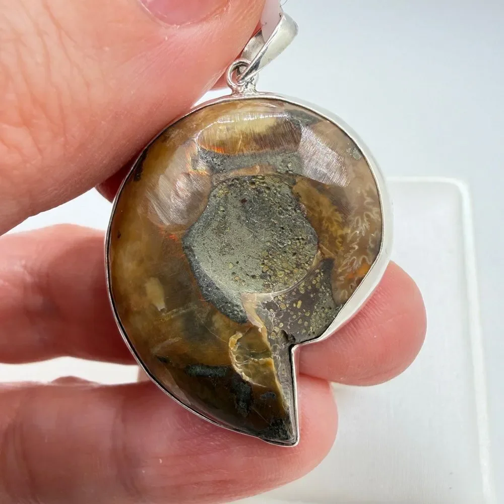 NWT‎ 23.5x30mm AMMONITE pendant in Bali sterling silver!